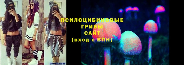 индика Гусь-Хрустальный