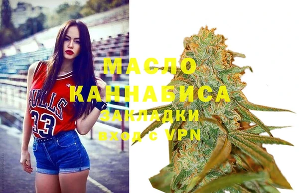 индика Гусь-Хрустальный