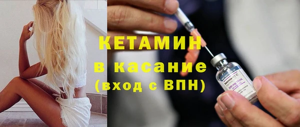 индика Гусь-Хрустальный