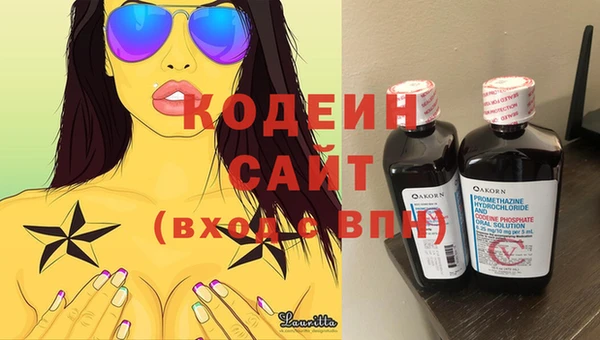 индика Гусь-Хрустальный