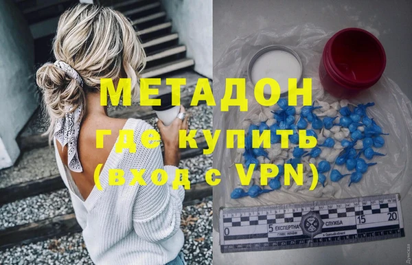 индика Гусь-Хрустальный