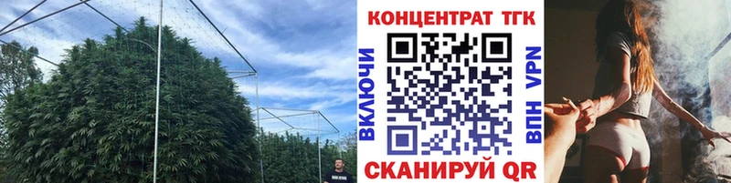 Дистиллят ТГК THC oil  Балашиха 