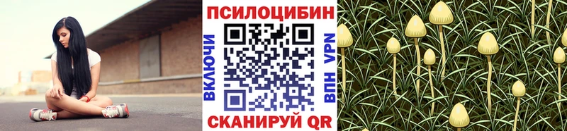 Псилоцибиновые грибы Psilocybe  где купить   Балашиха 